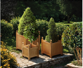Versailles Teak Garden Planters - S, L & XL, Set of 3