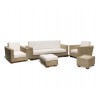 Water Hyacinth Conservatory Sofa Set