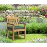 Teak Outdoor Dining 
 Arm Chair with Cushion