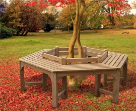 Low Back Teak Tree Bench