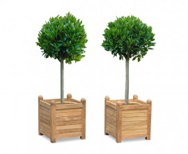 Zen Teak Garden Planters - Set of 2, Large