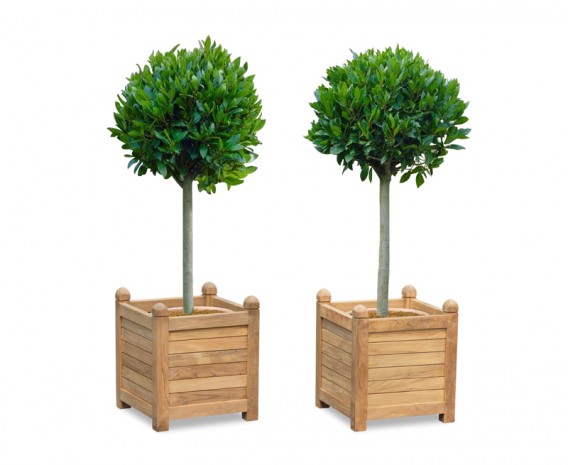 Zen Teak Garden Planters - Set of 2, Large