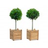 Zen Teak Garden Planters - Set of 2, Large