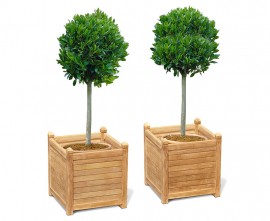 Zen Teak Garden Planters - Set of 2, Extra-Large