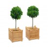 Zen Teak Garden Planters - Set of 2, Extra-Large