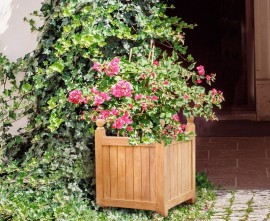 Versailles Teak Square Planter - Large