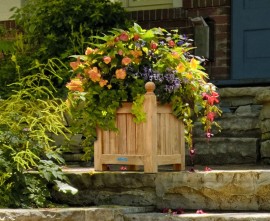 Versailles Teak Square Planter - Standard