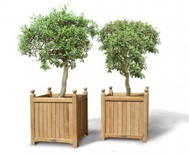 Versailles Teak Garden Planters - Set of 2, Extra-Large