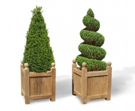 Versailles Teak Garden Planters - Set of 2, Standard