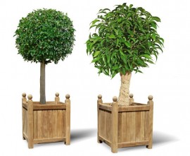 Versailles Teak Garden Planters - Set of 2, Large